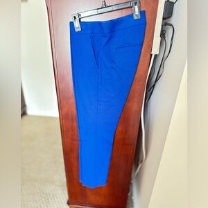 The limited Capri pants